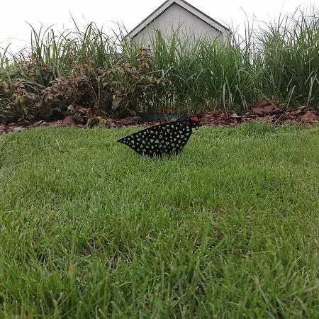 Maly Klimatyzacja, Aneks Kuchenny, Parking * Bodzanow (Wieliczka)